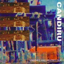 Candiru : Unloved and Weeded Out
